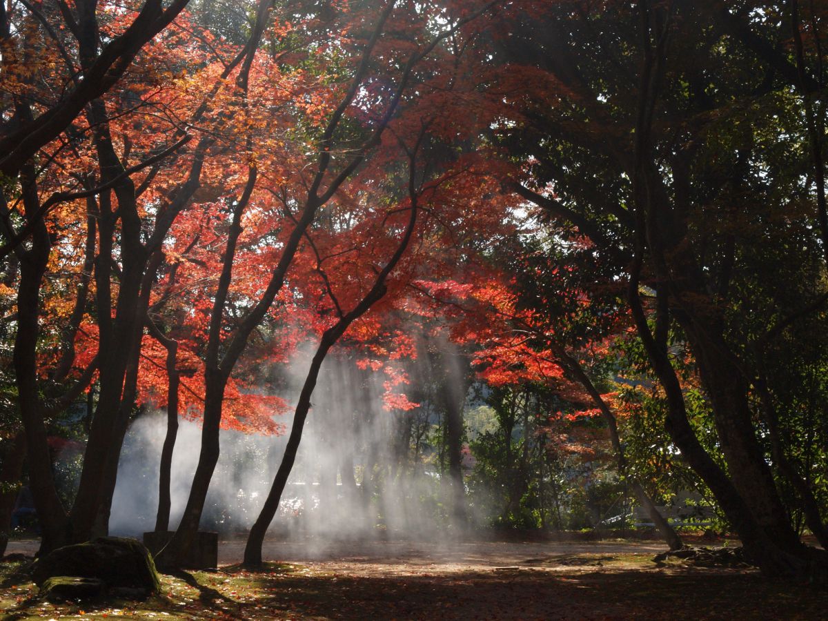 覚苑寺（山口県）