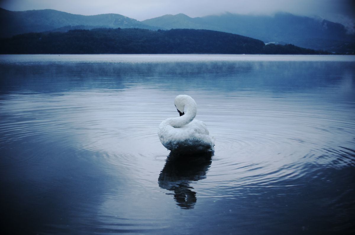 山中湖（山梨県）