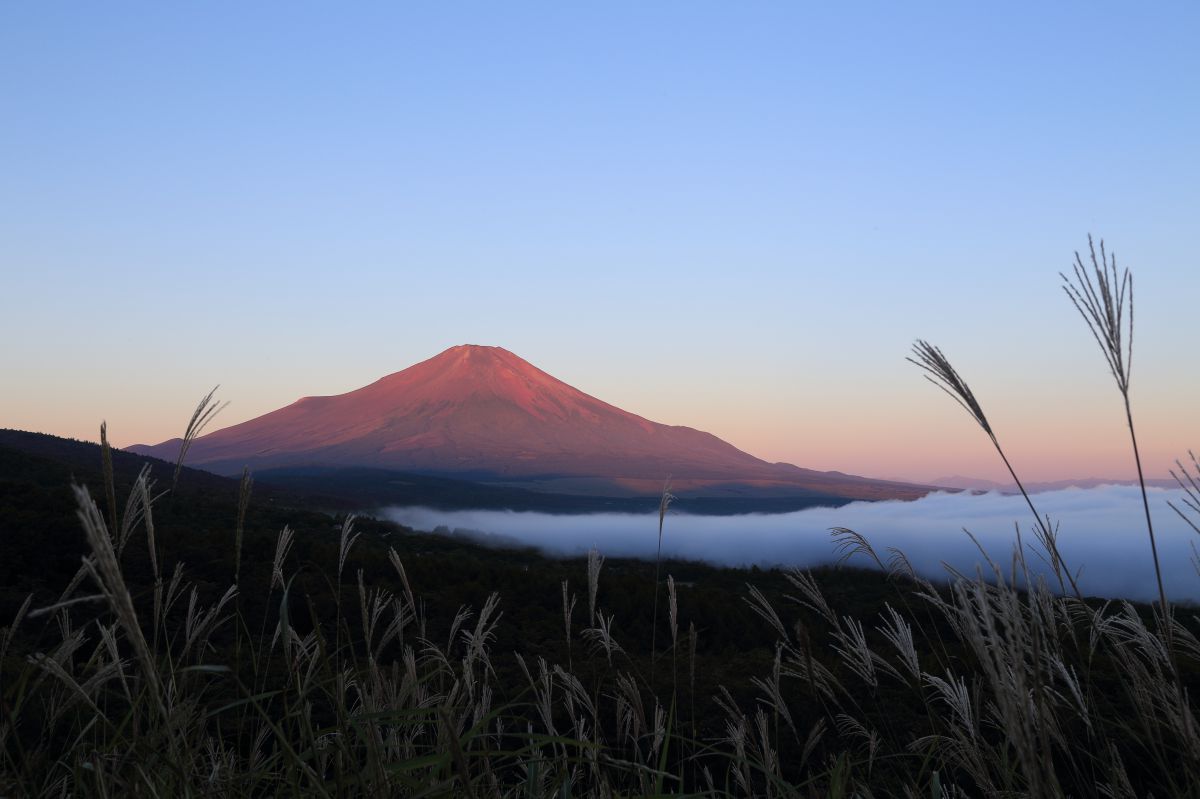 パノラマ台（山梨県）