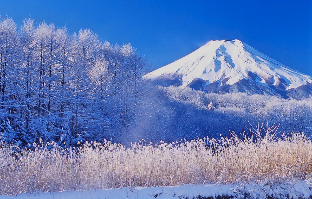 忍野村