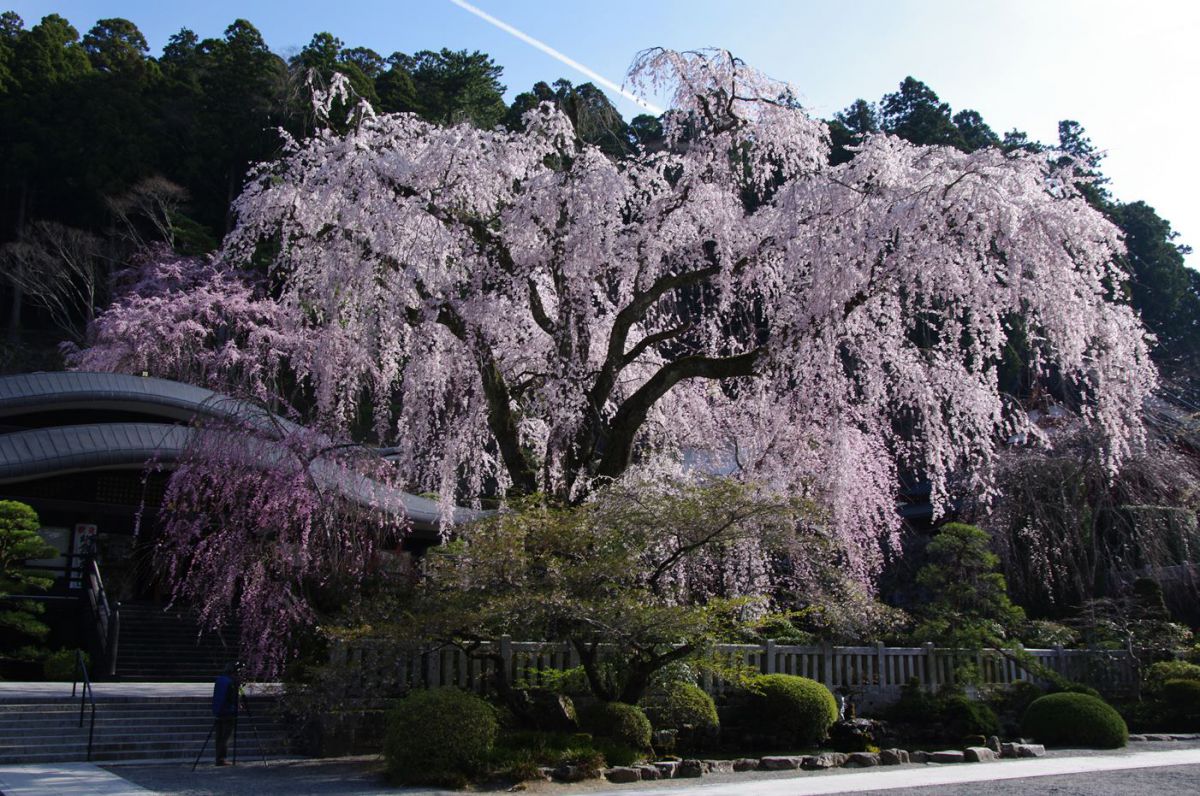 久遠寺（山梨県）