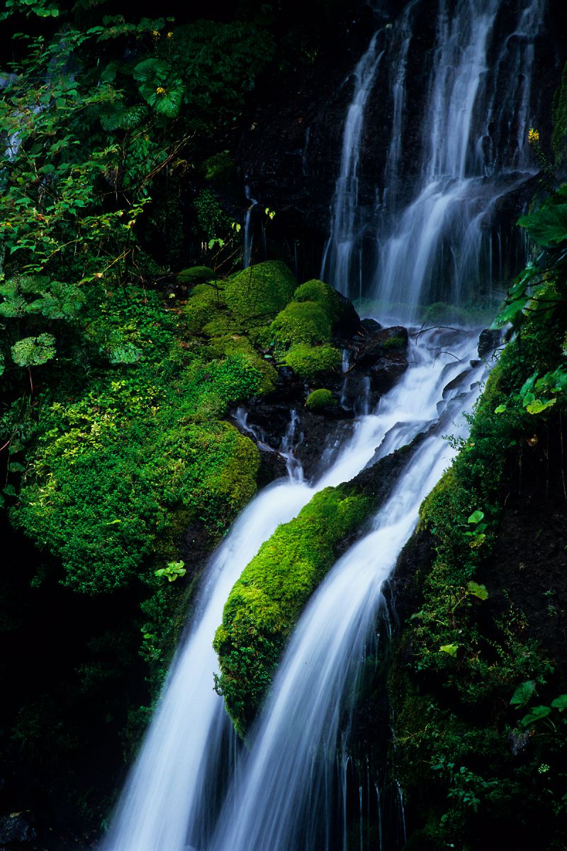 吐竜の滝（山梨県）