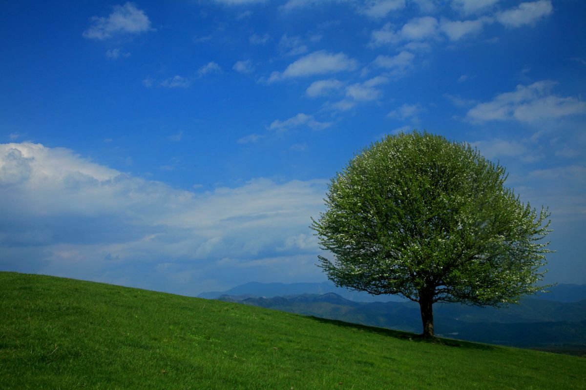 清里高原（山梨県）