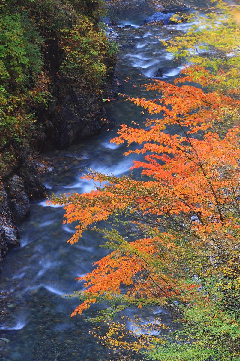 丹波渓谷（山梨県）