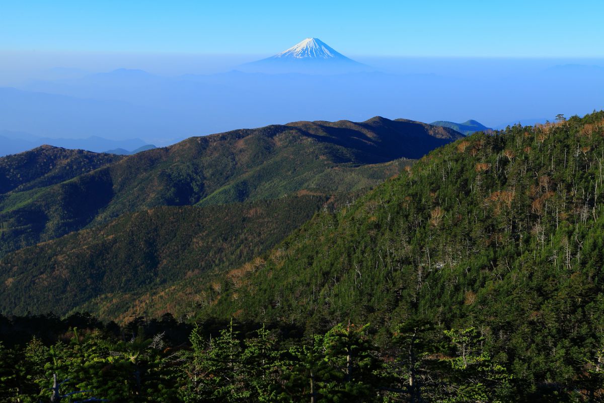 国師ヶ岳