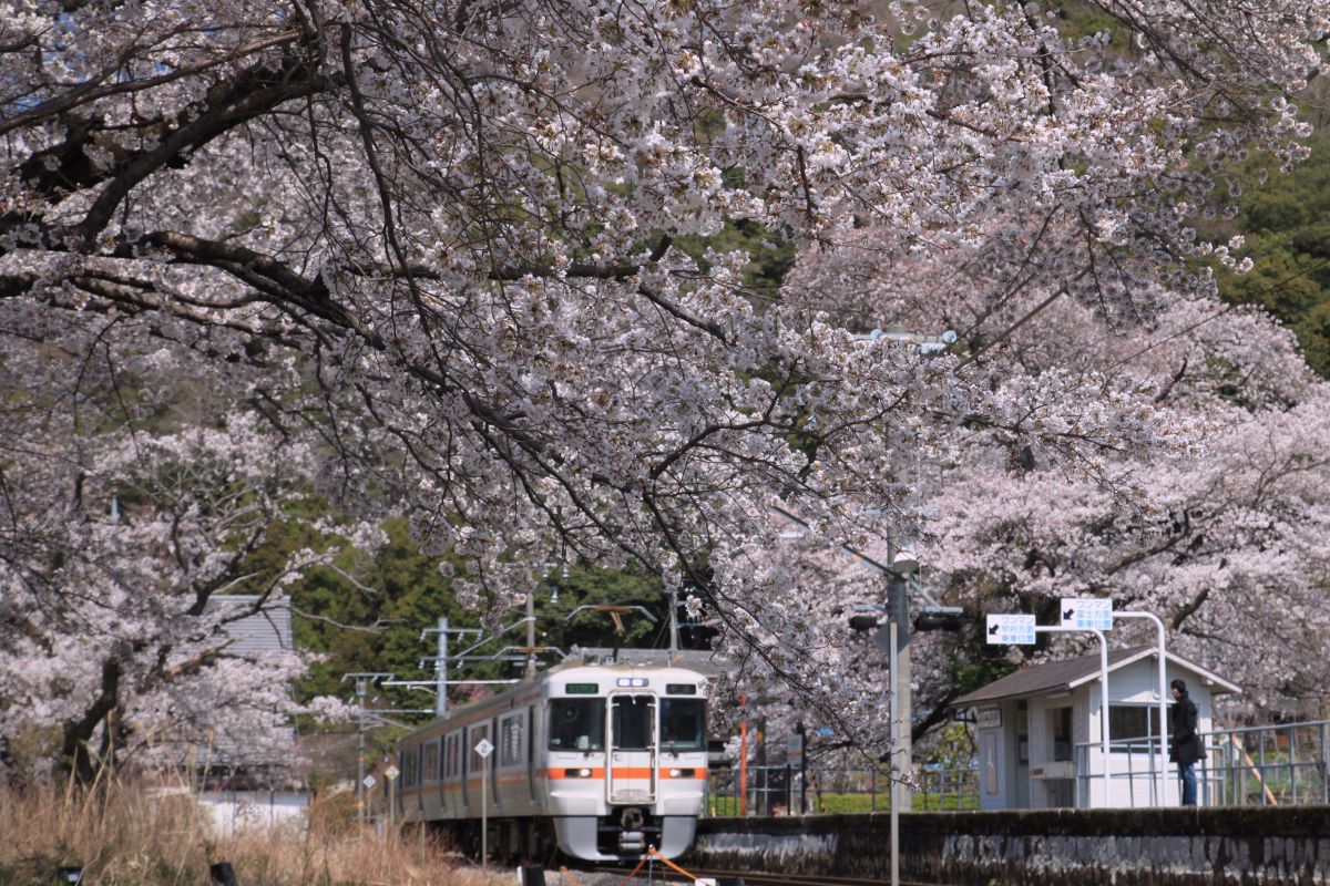 身延線（山梨県）