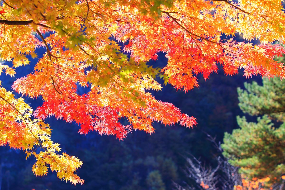 広瀬ダム（山梨県）