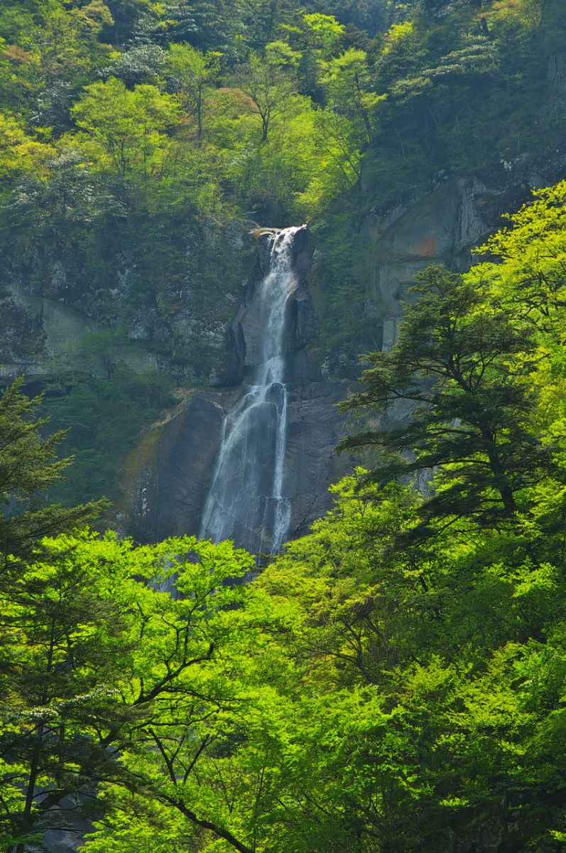 精進ケ滝（山梨県）