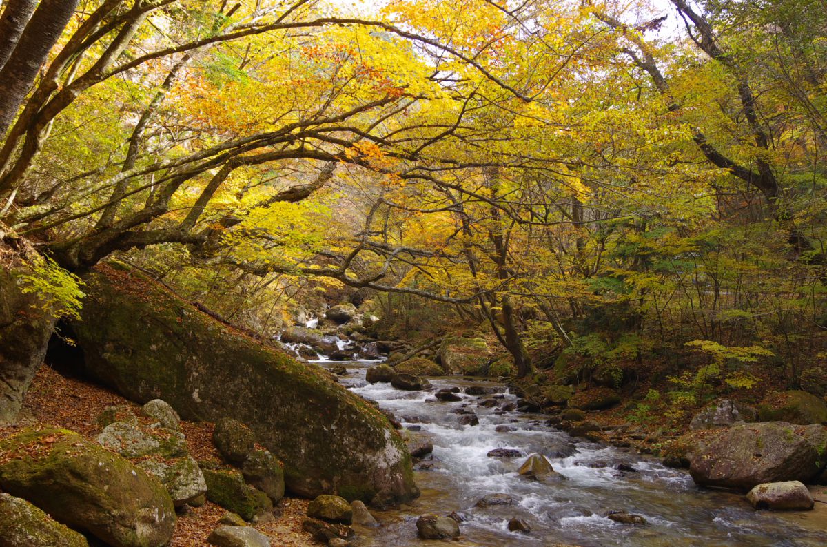 通仙峡（山梨県）