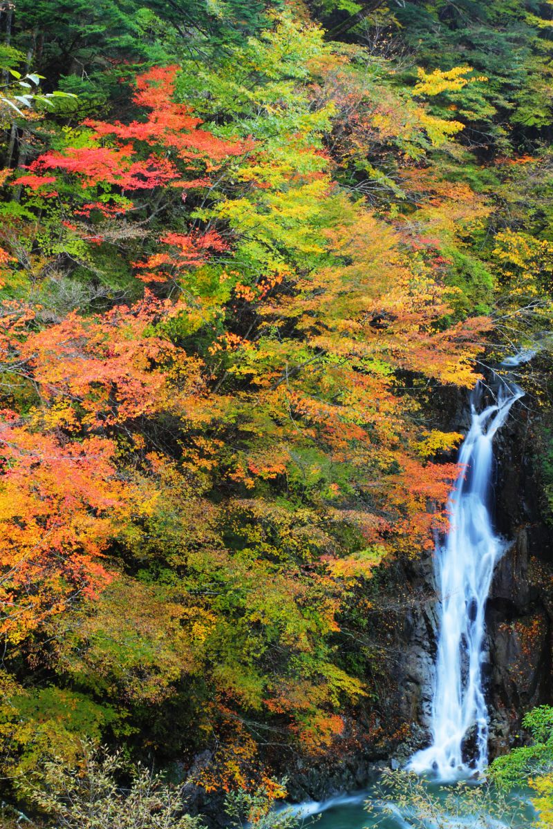 大久保の滝（山梨県）