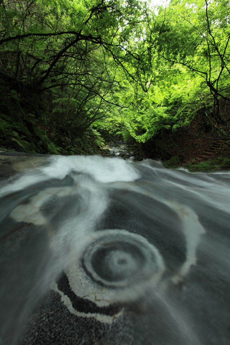 的様（山梨県）