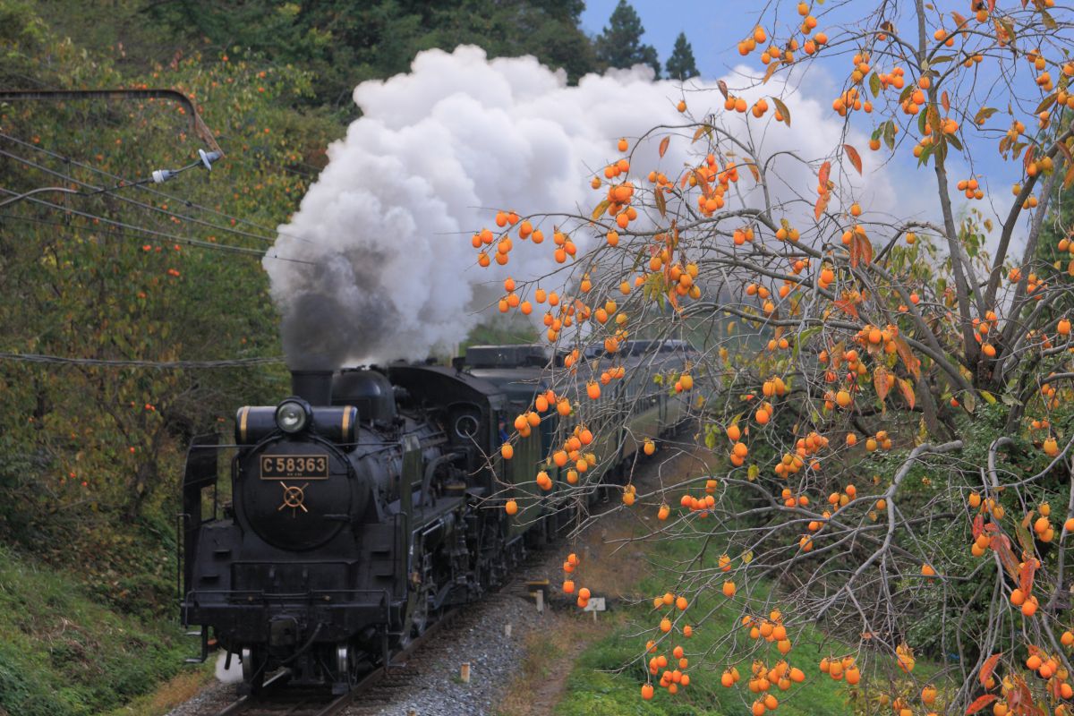 秩父鉄道（埼玉県）