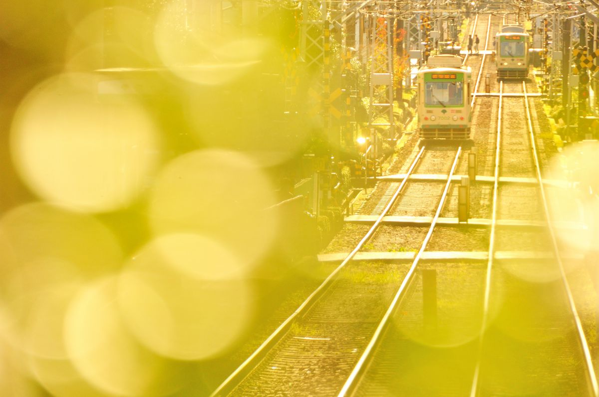 都電荒川線（東京都）