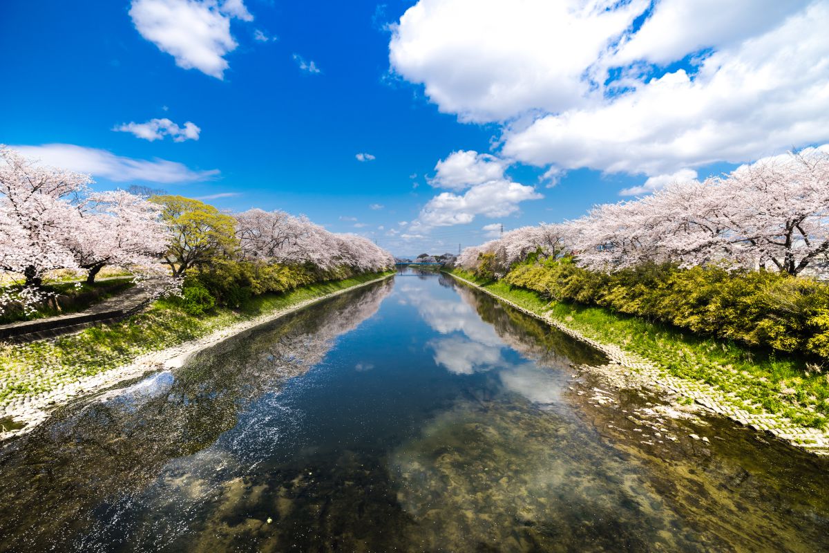 五条川（愛知県）