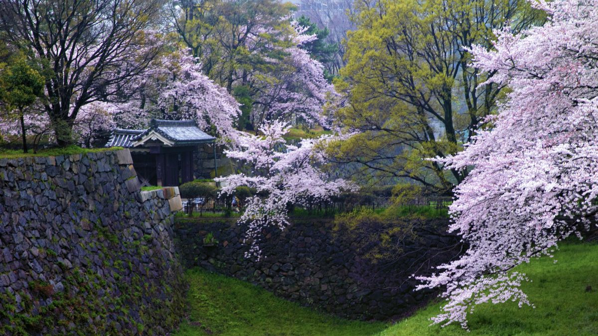 名古屋城（愛知県）