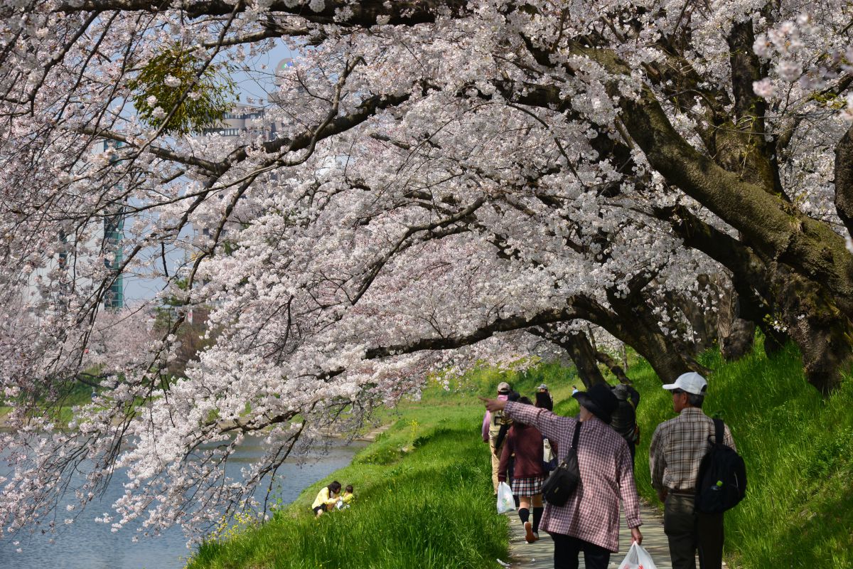 岡崎公園