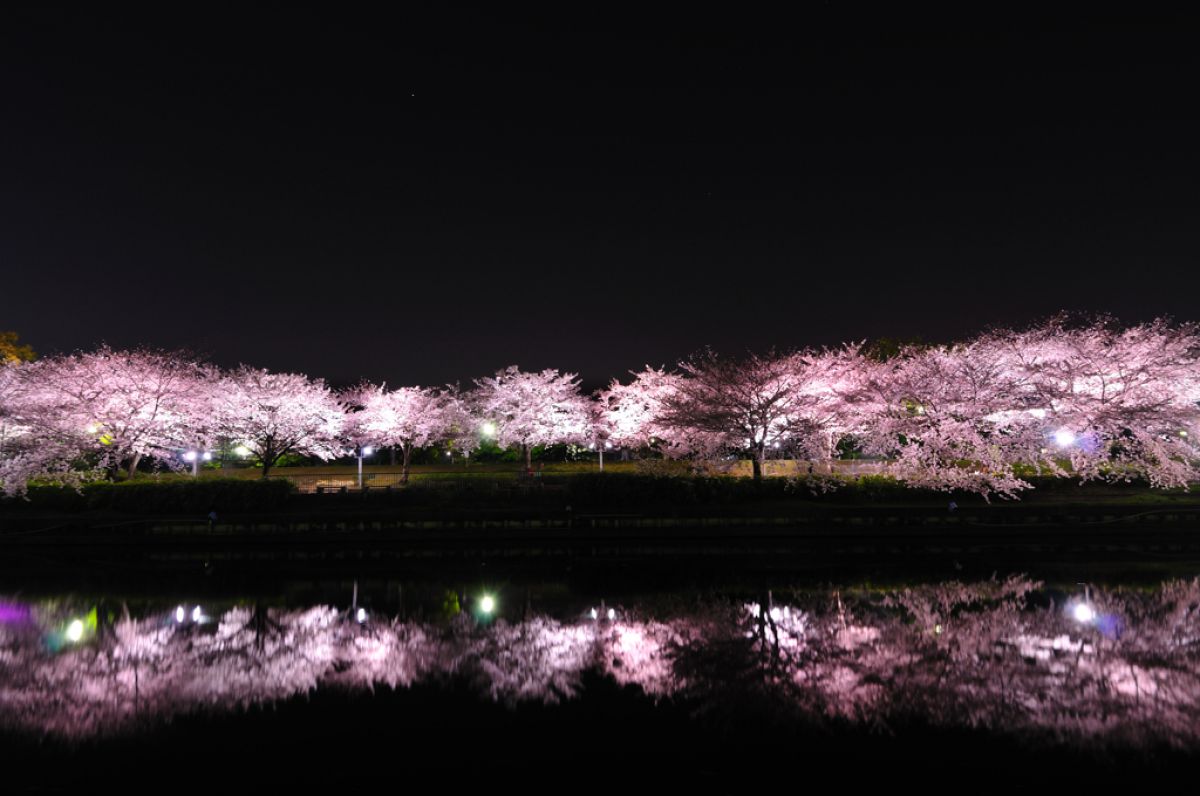 荒子川公園