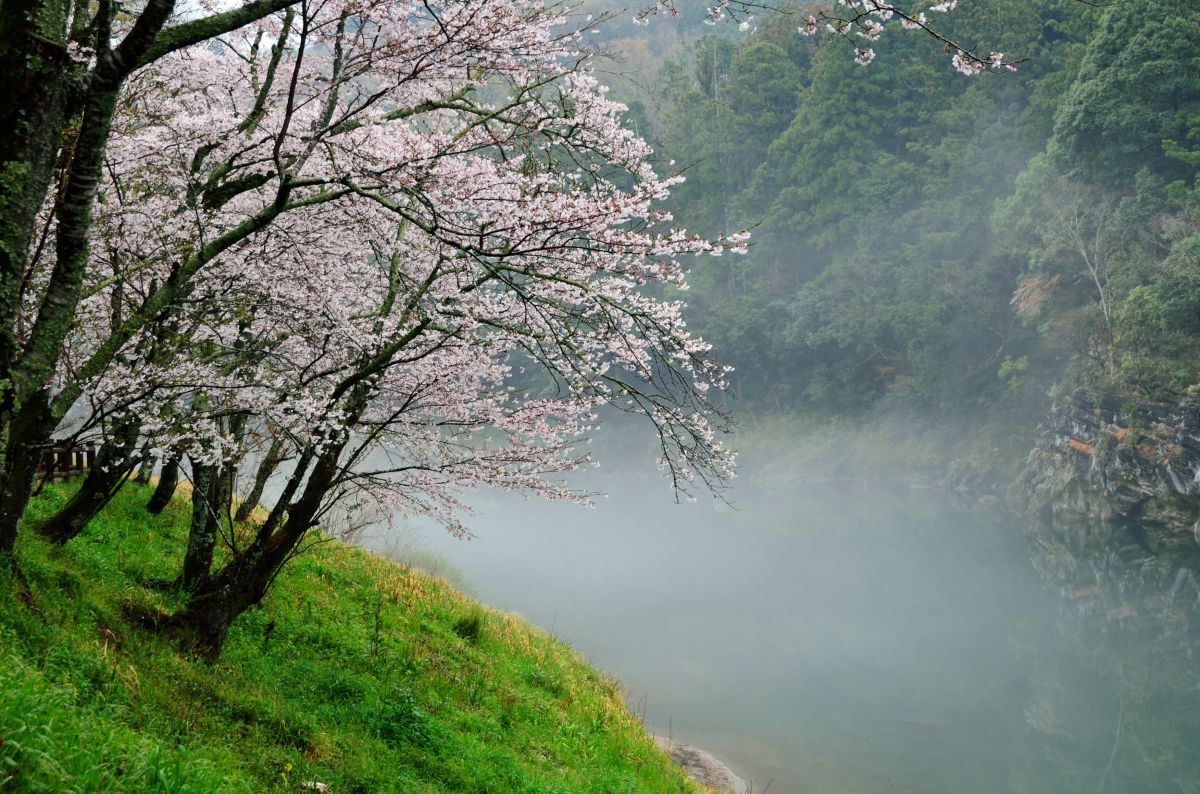 桜淵公園（愛知県）