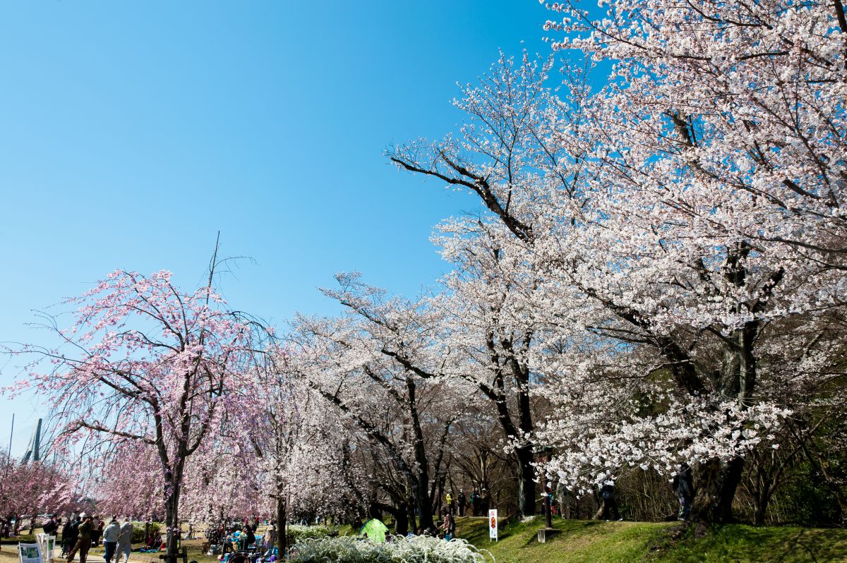 水源公園