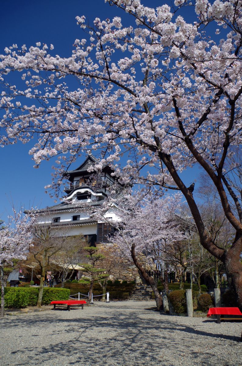 犬山城（愛知県）