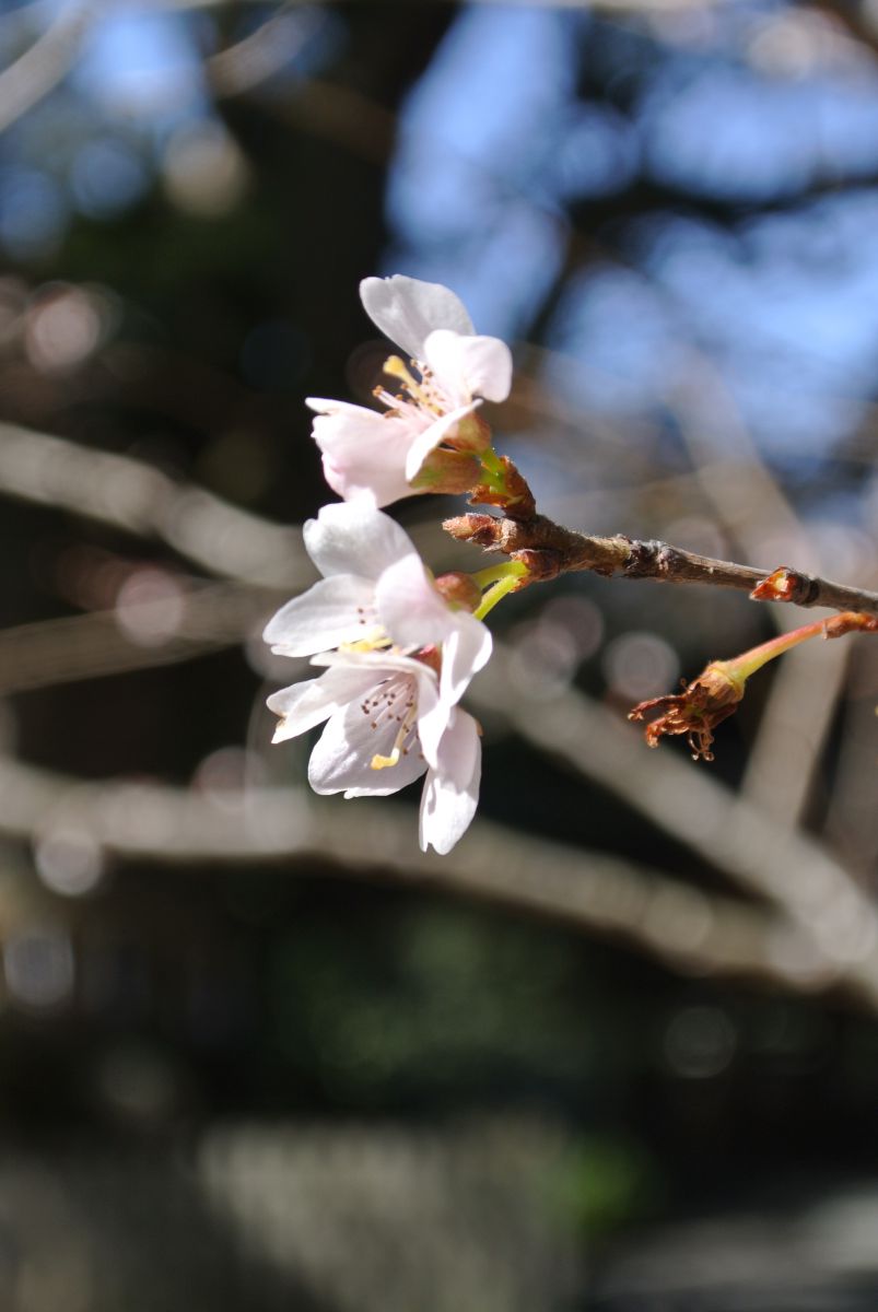 熱田神宮