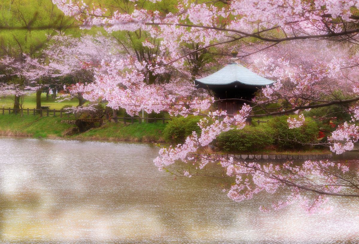 定光寺公園（愛知県）