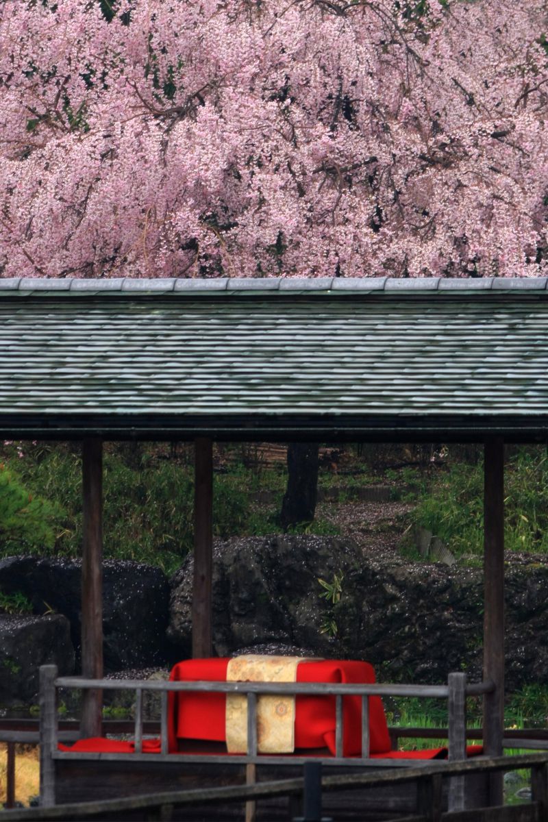 白鳥庭園（愛知県）