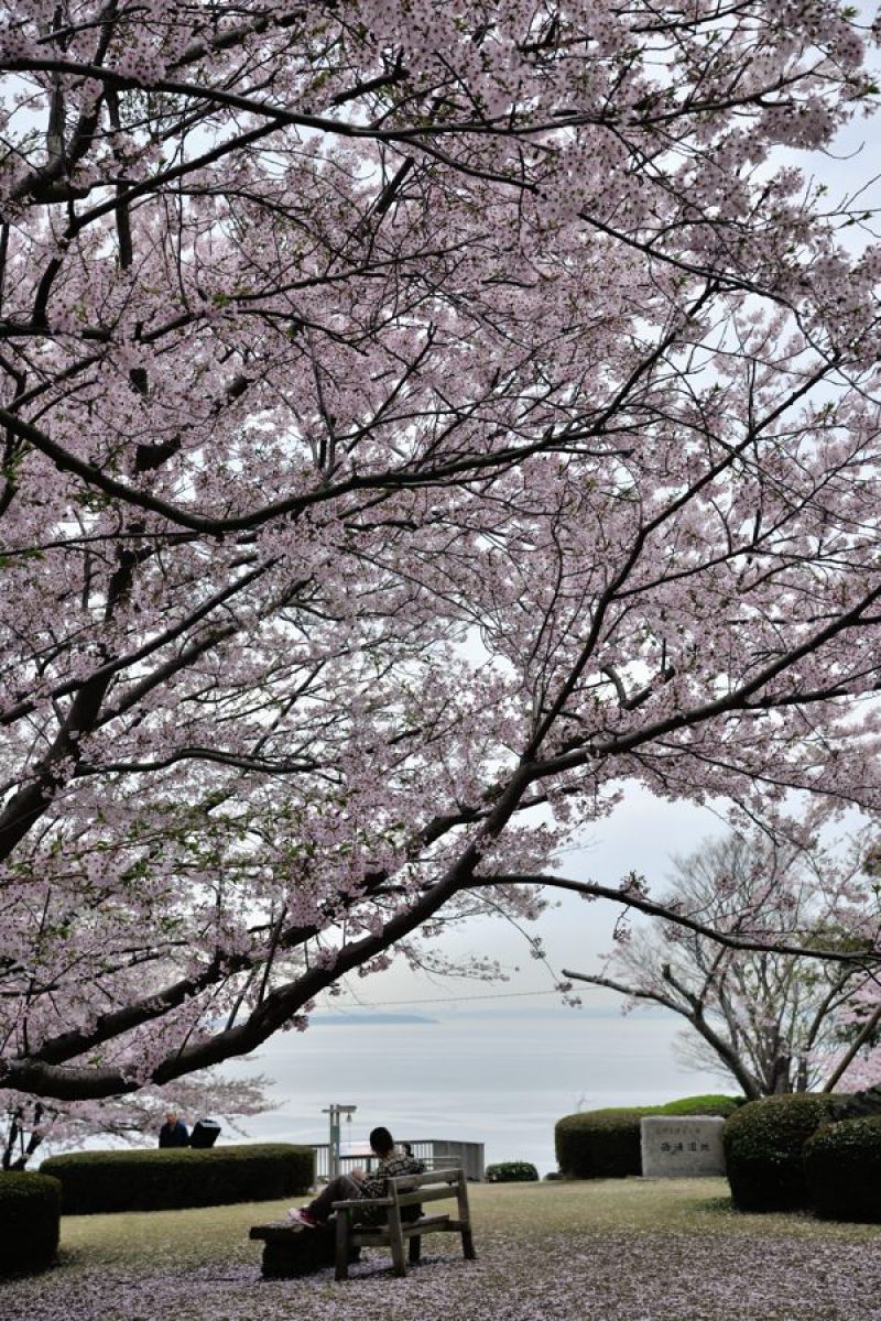 西浦園地（愛知県）