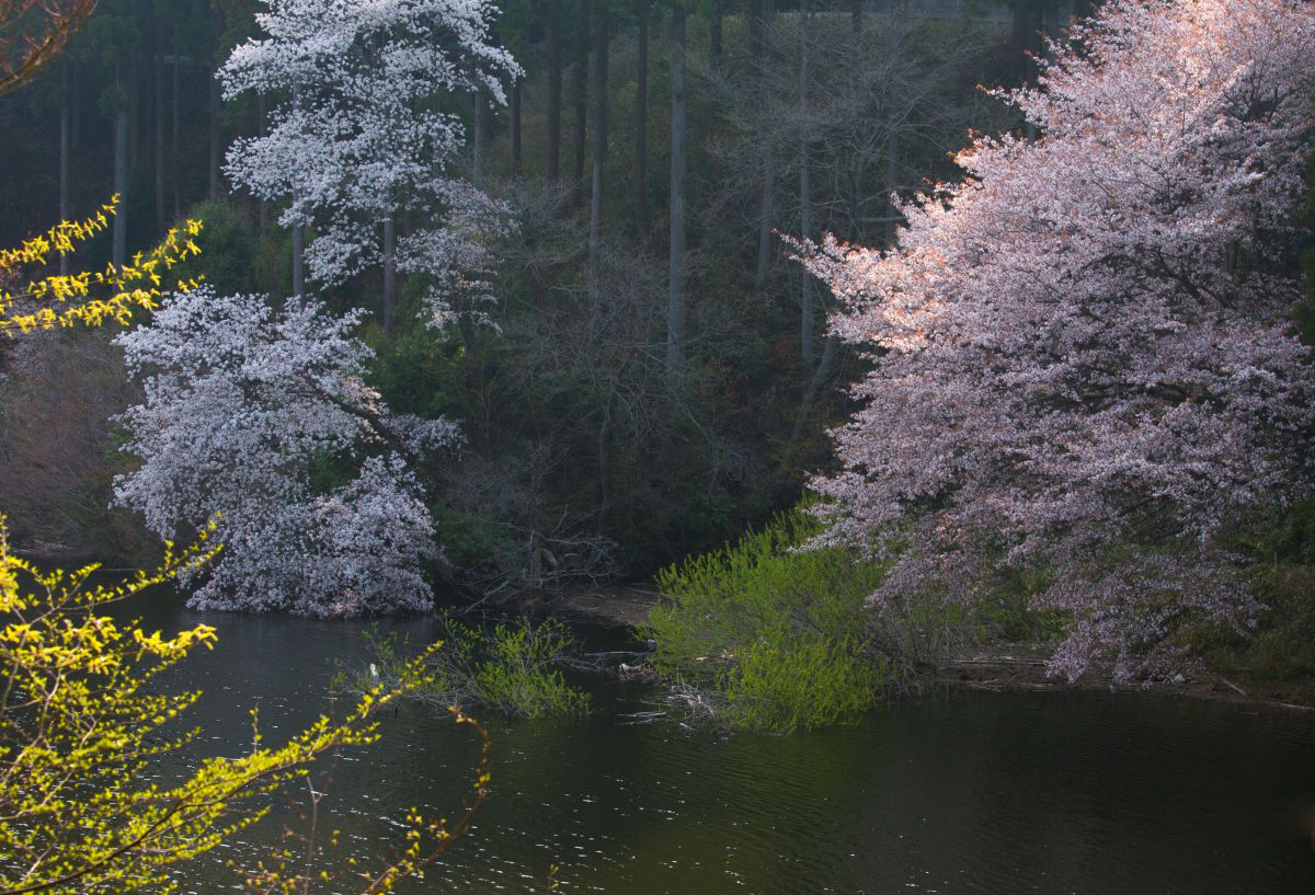 三河湖