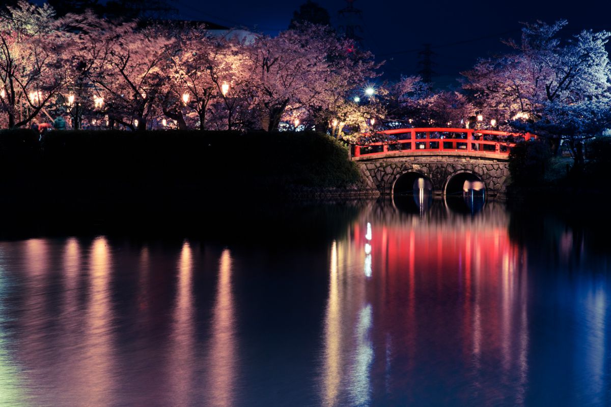 亀城公園　愛知