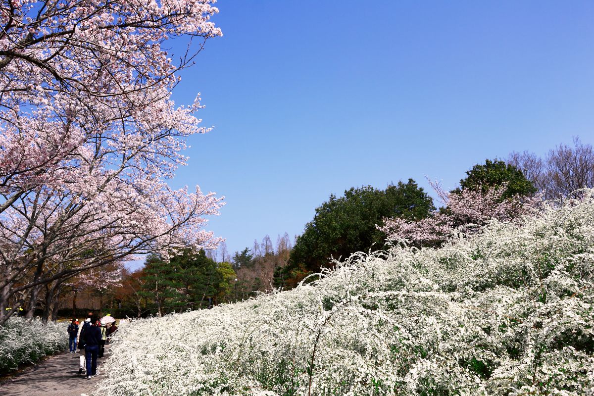 愛知県緑化センター（愛知県）