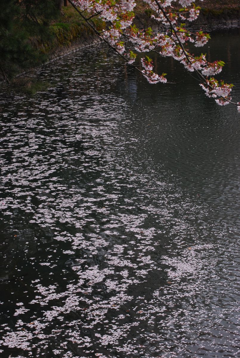 真人公園（秋田県）