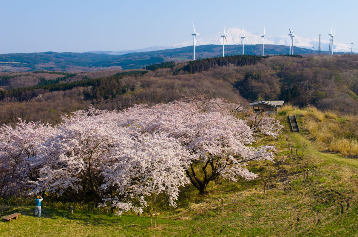 浜館公園（秋田県）