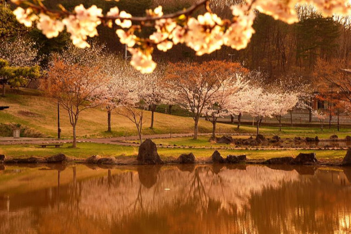 大森公園（秋田県）