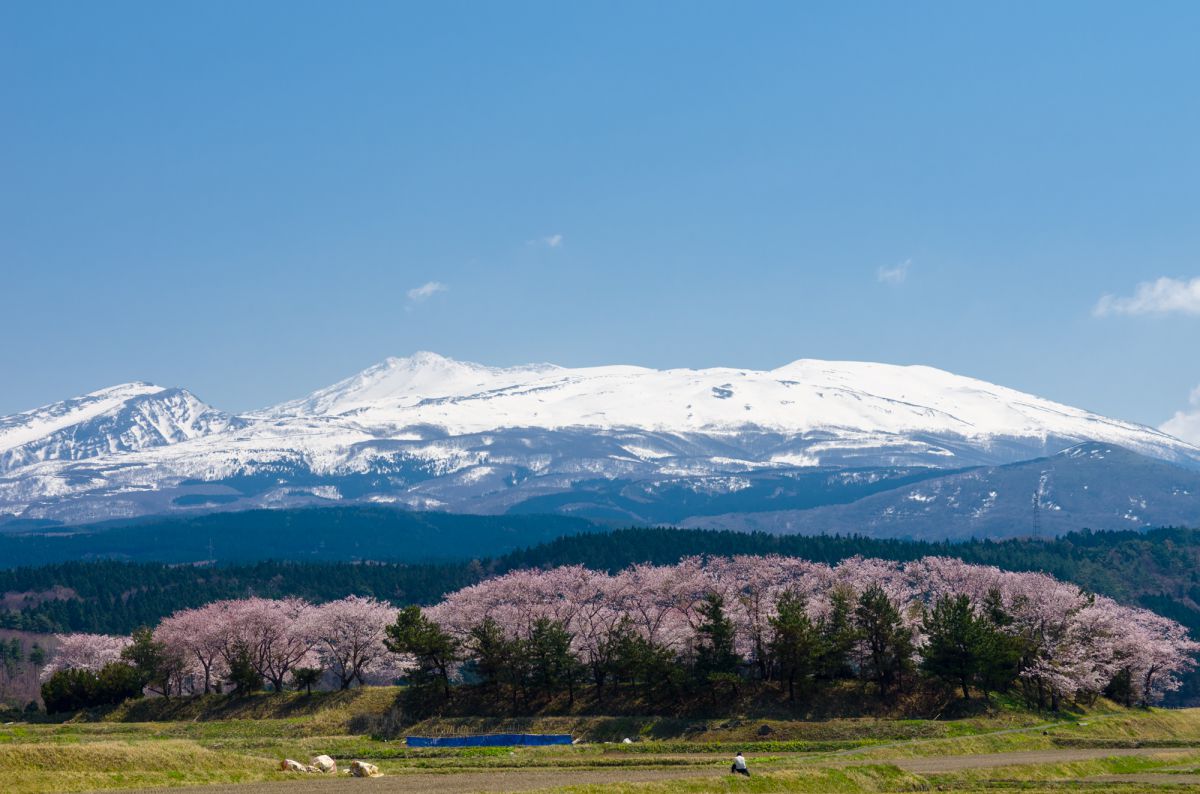 三崎公園（秋田県）