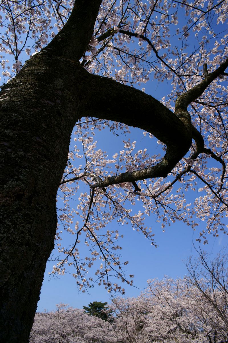 栗山池公園（秋田県）