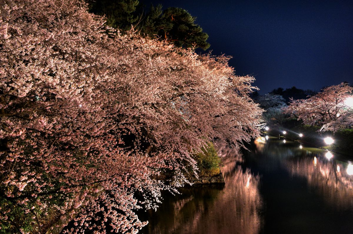 弘前公園（青森県）