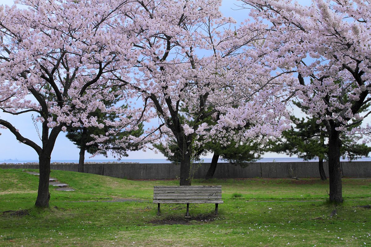 合浦公園（青森県）