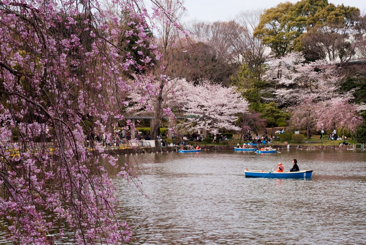 千葉公園