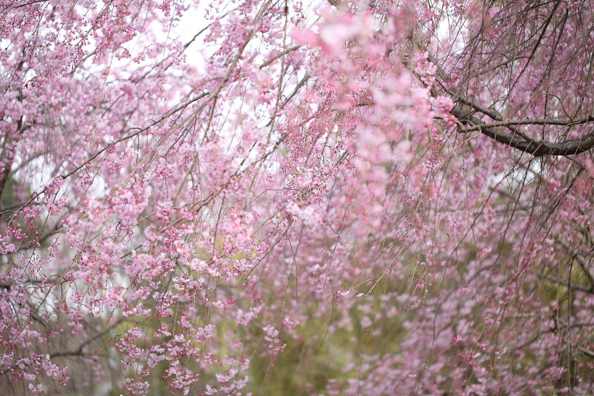 アンデルセン公園