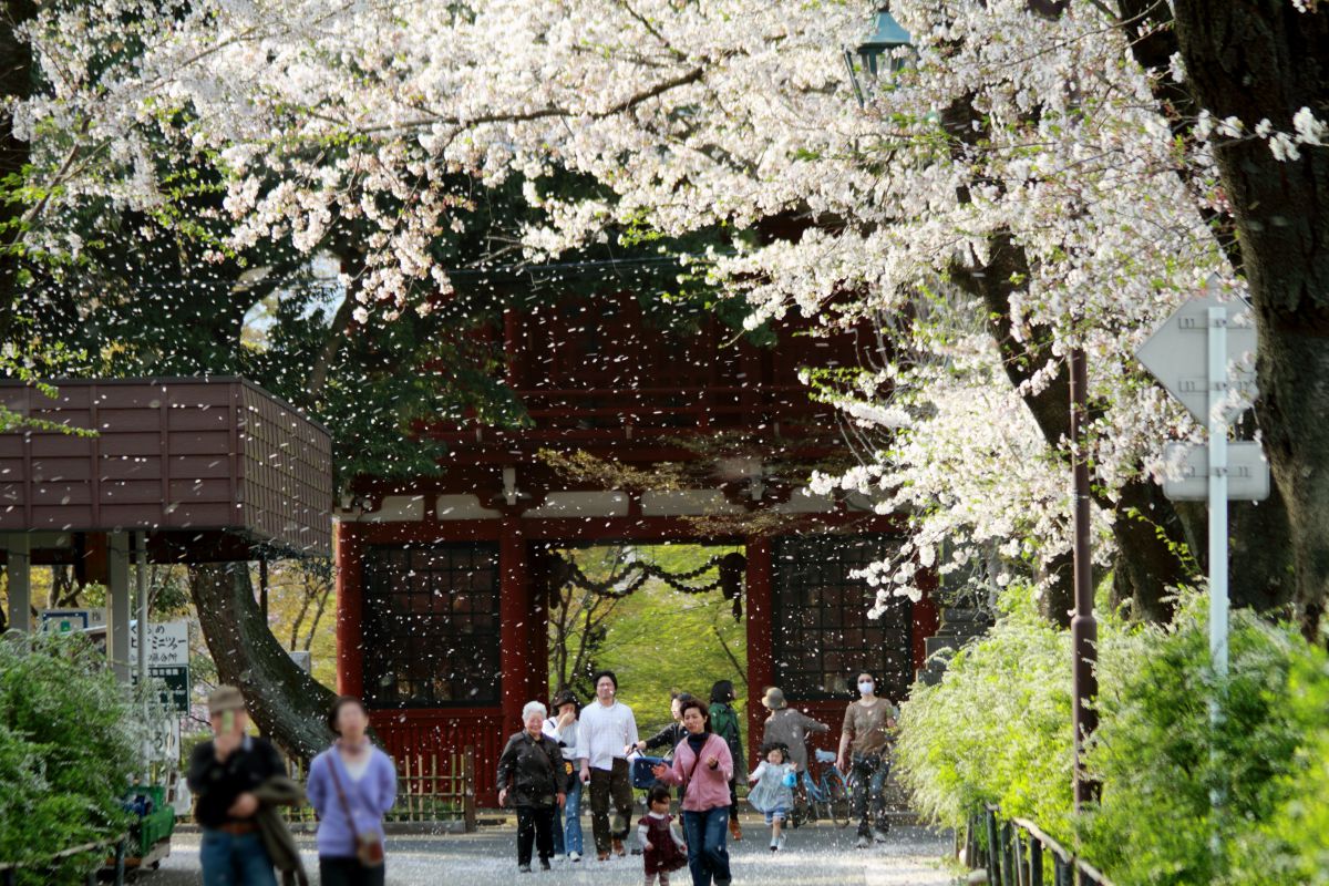 本土寺