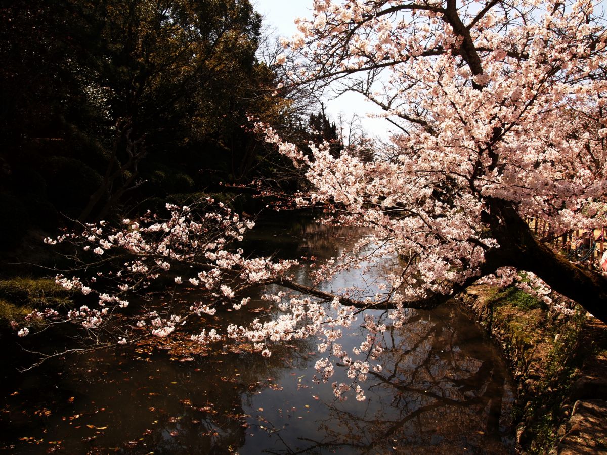 道後公園（愛媛県）