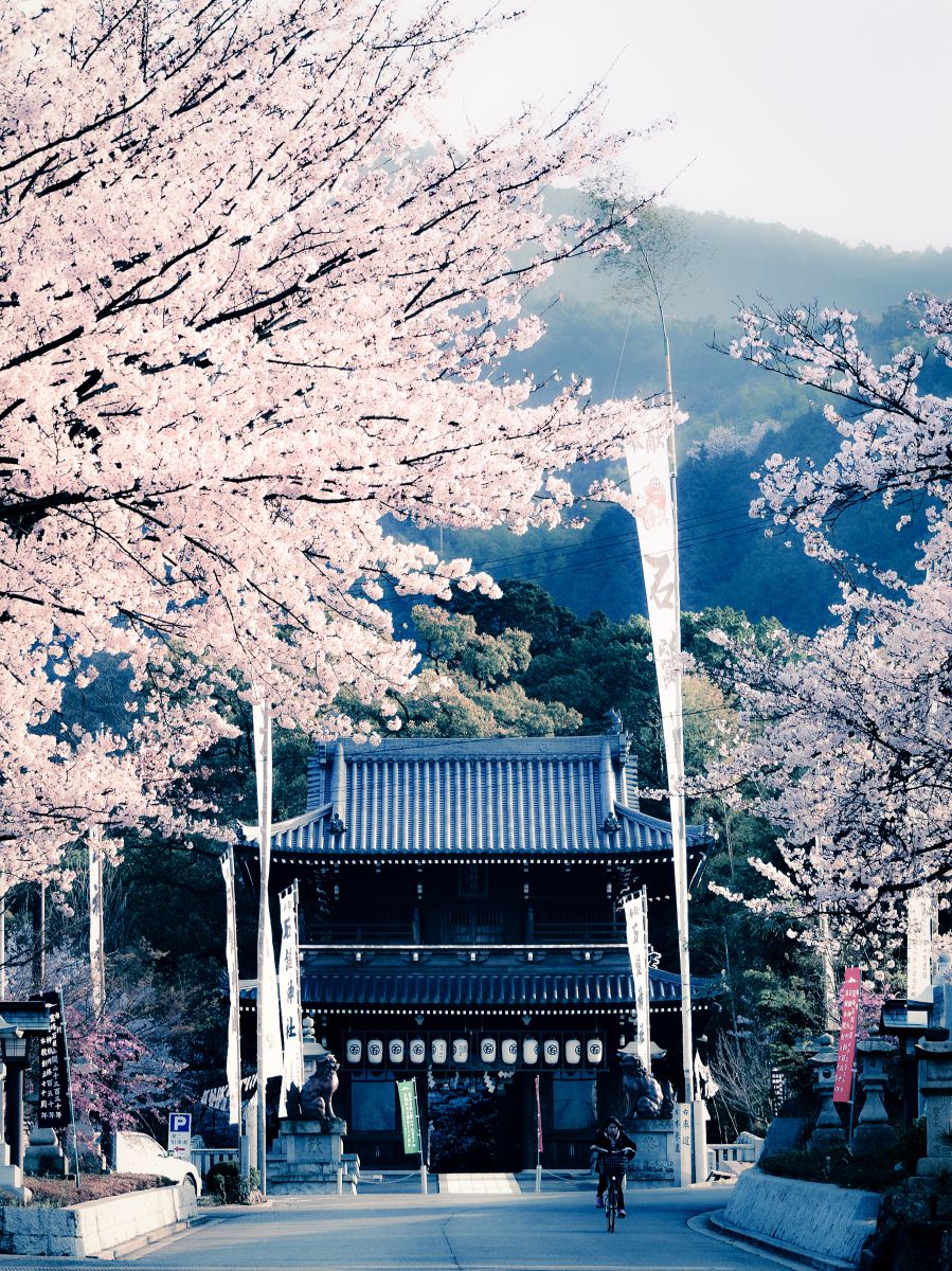 石鎚山（愛媛県）