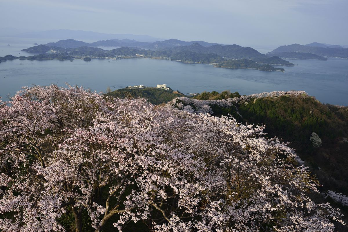 積善山（愛媛県）