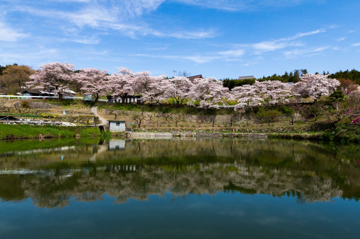 尾首の池