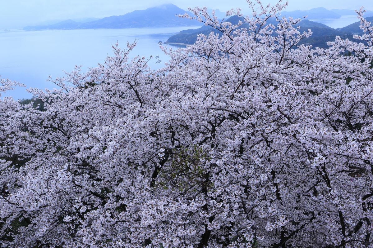 開山公園