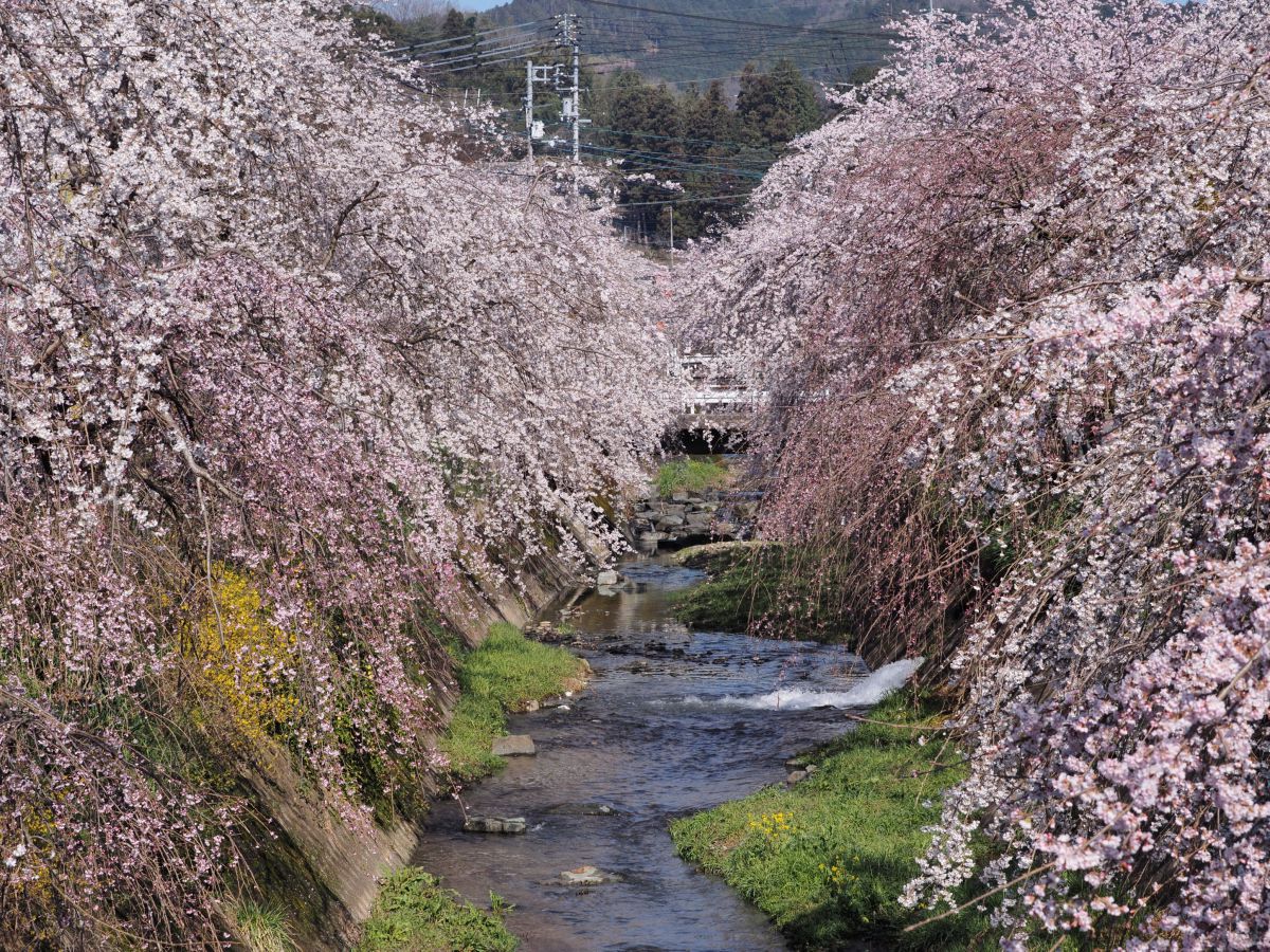 郷之谷川（愛媛県）