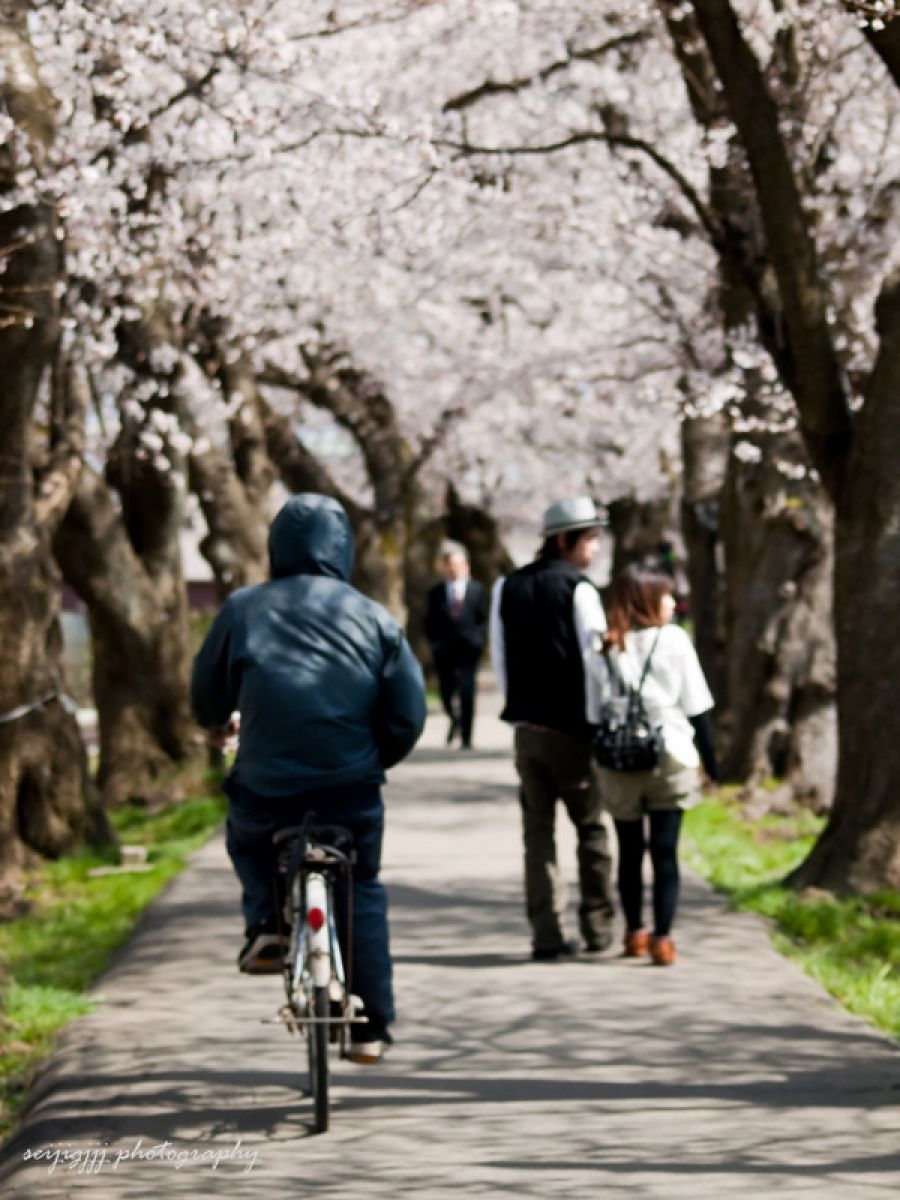 足羽川（福井県）