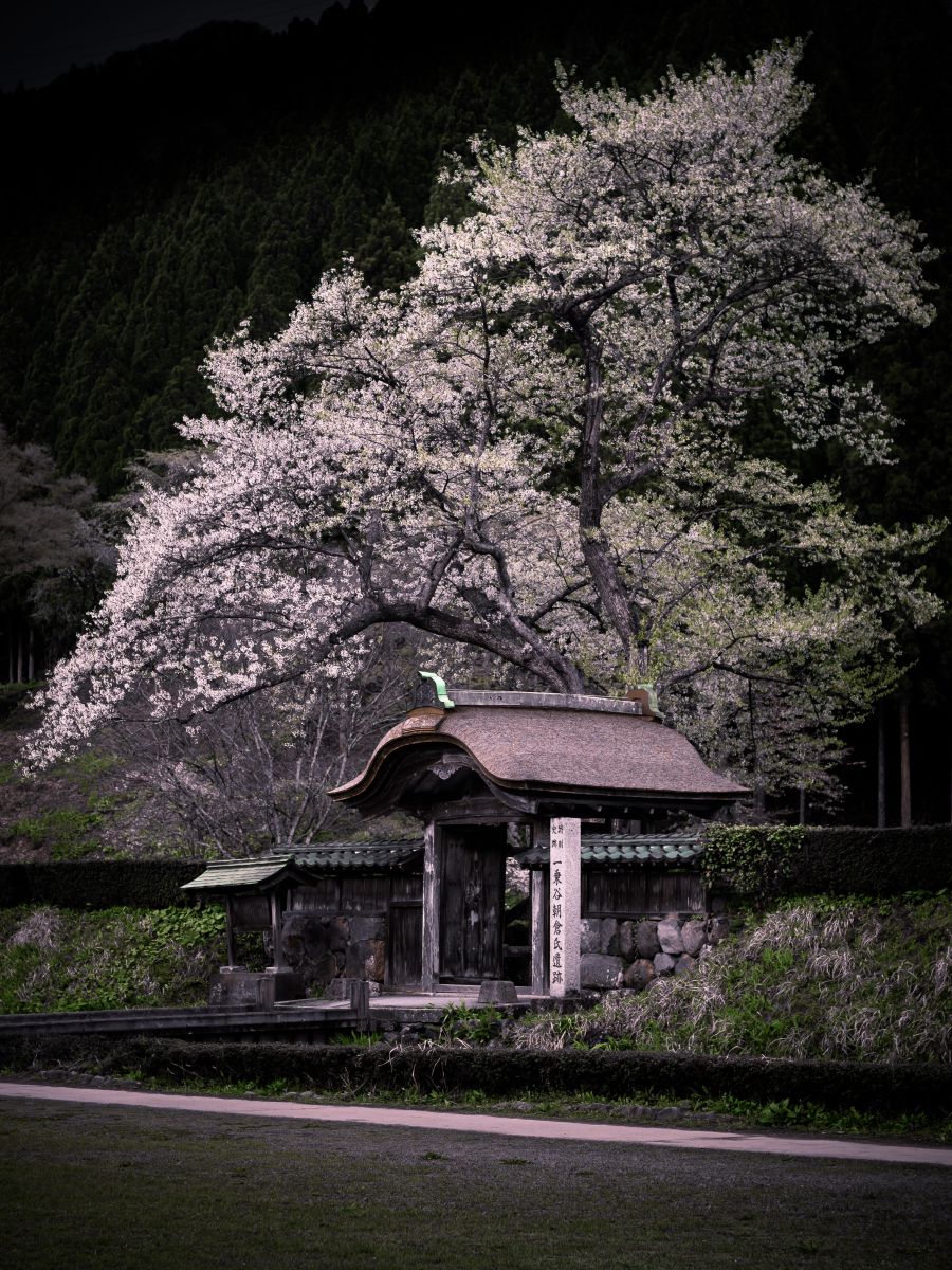 朝倉氏遺跡（福井県）