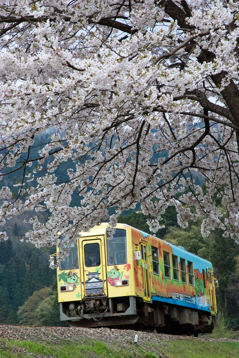 九頭竜線（福井県）